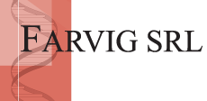 Farvig